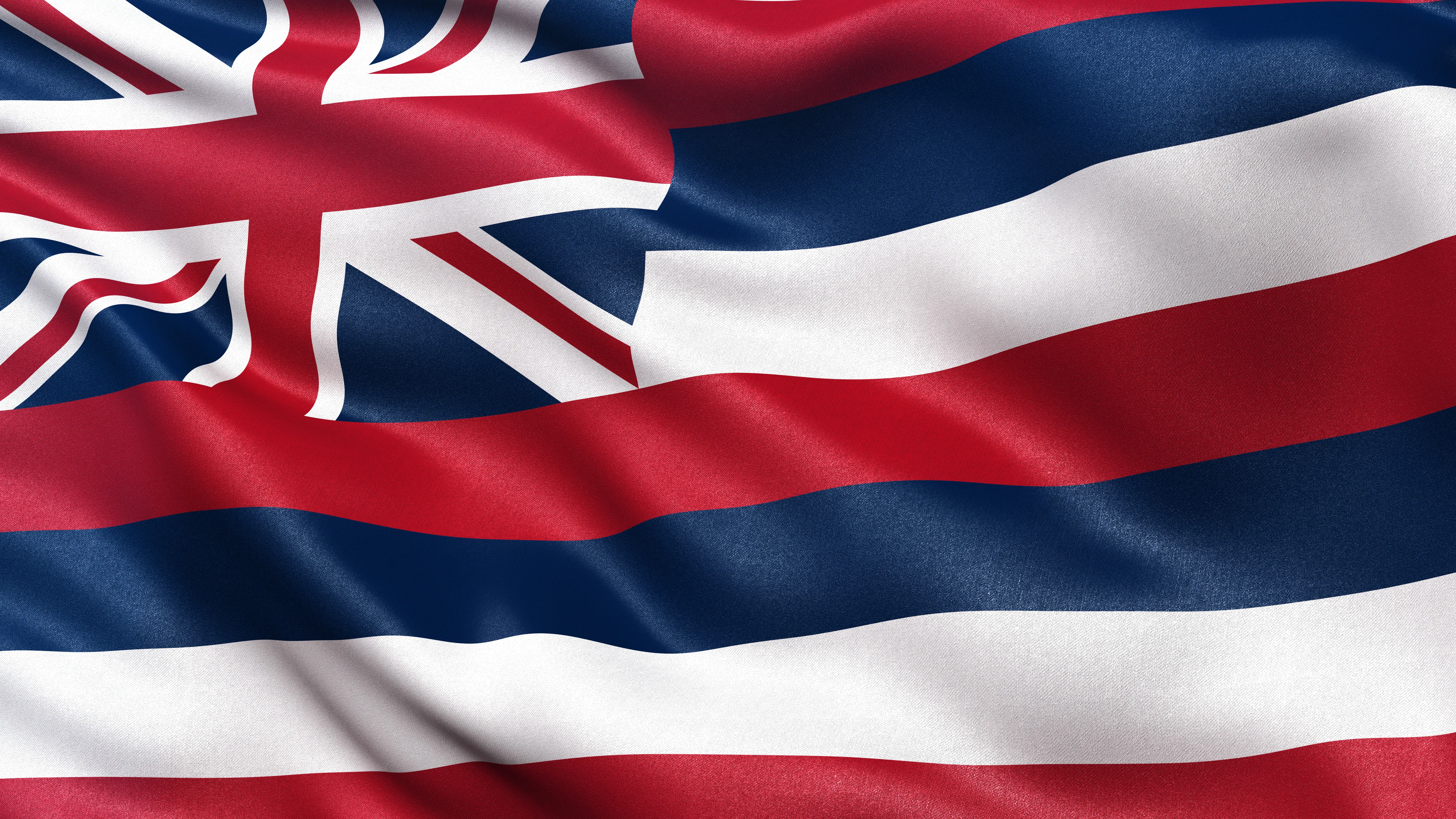 Hawaii state flag
