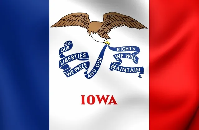 Iowa state flag