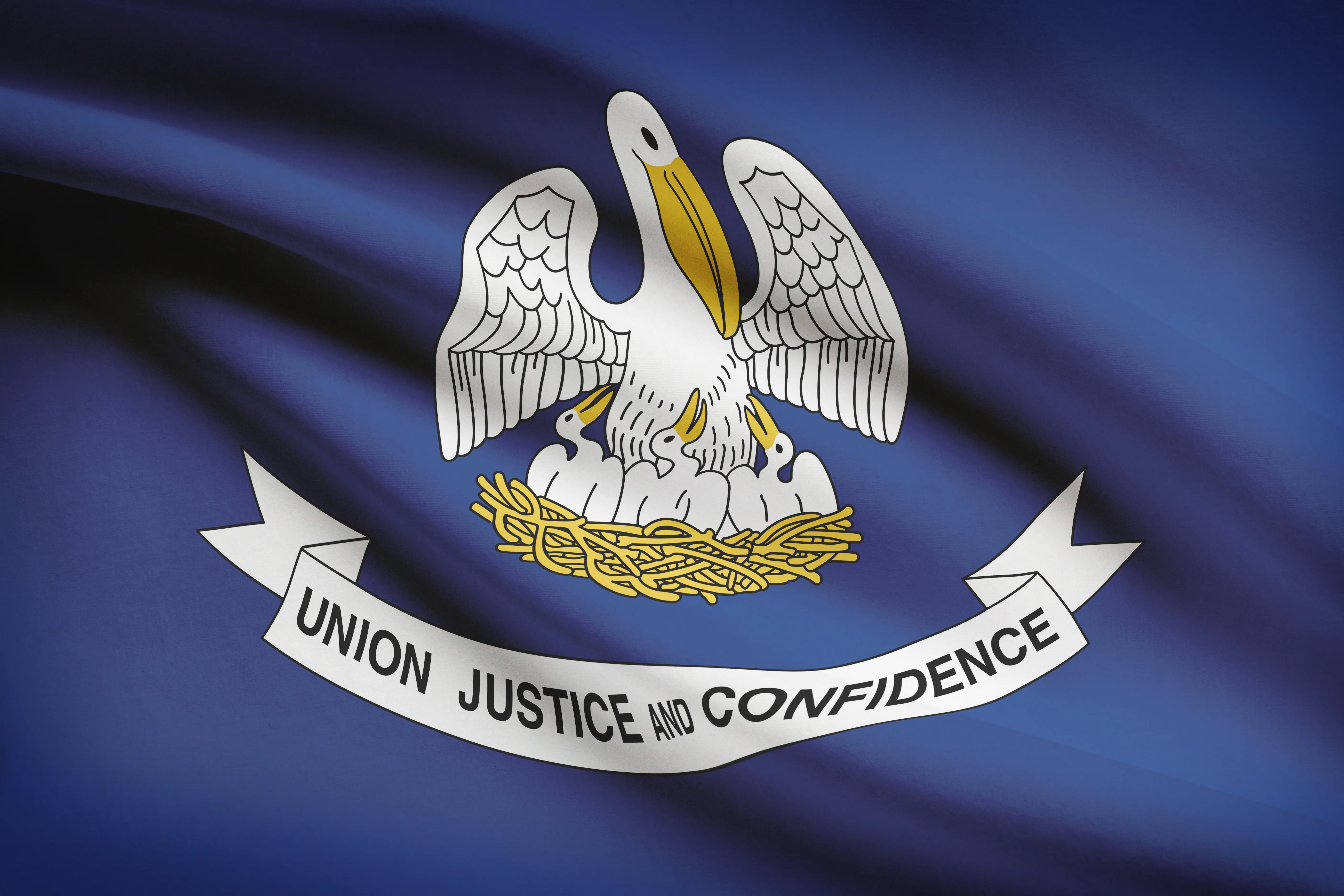 Louisiana state flag